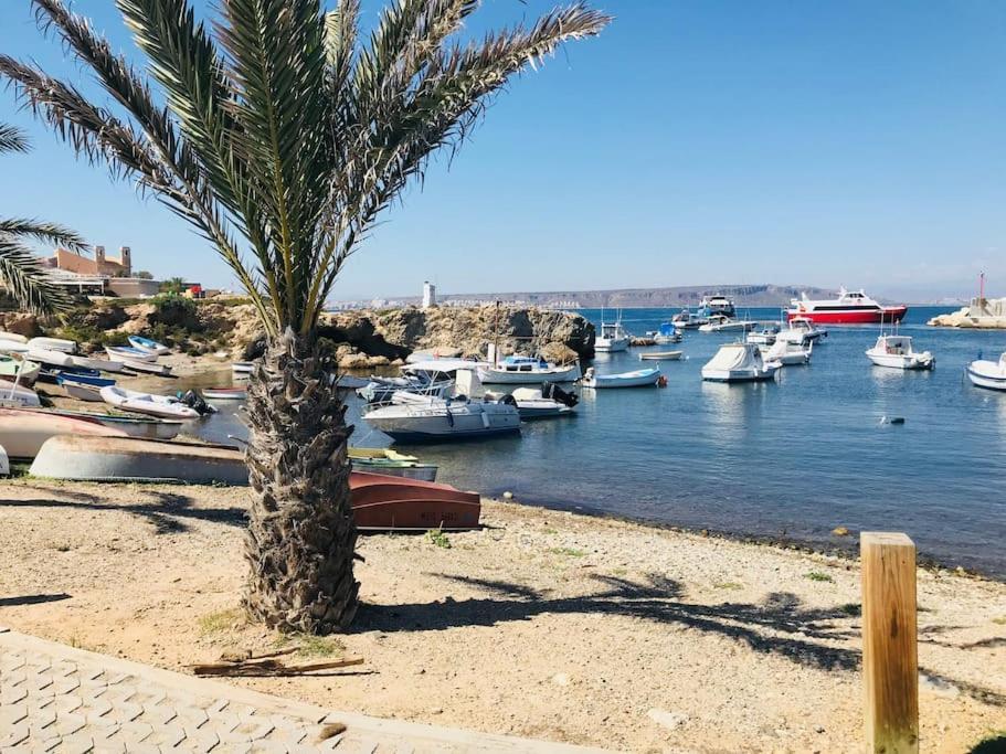 70 Sqm Apartment With Seaview In Arenales Del Sol. Eksteriør billede